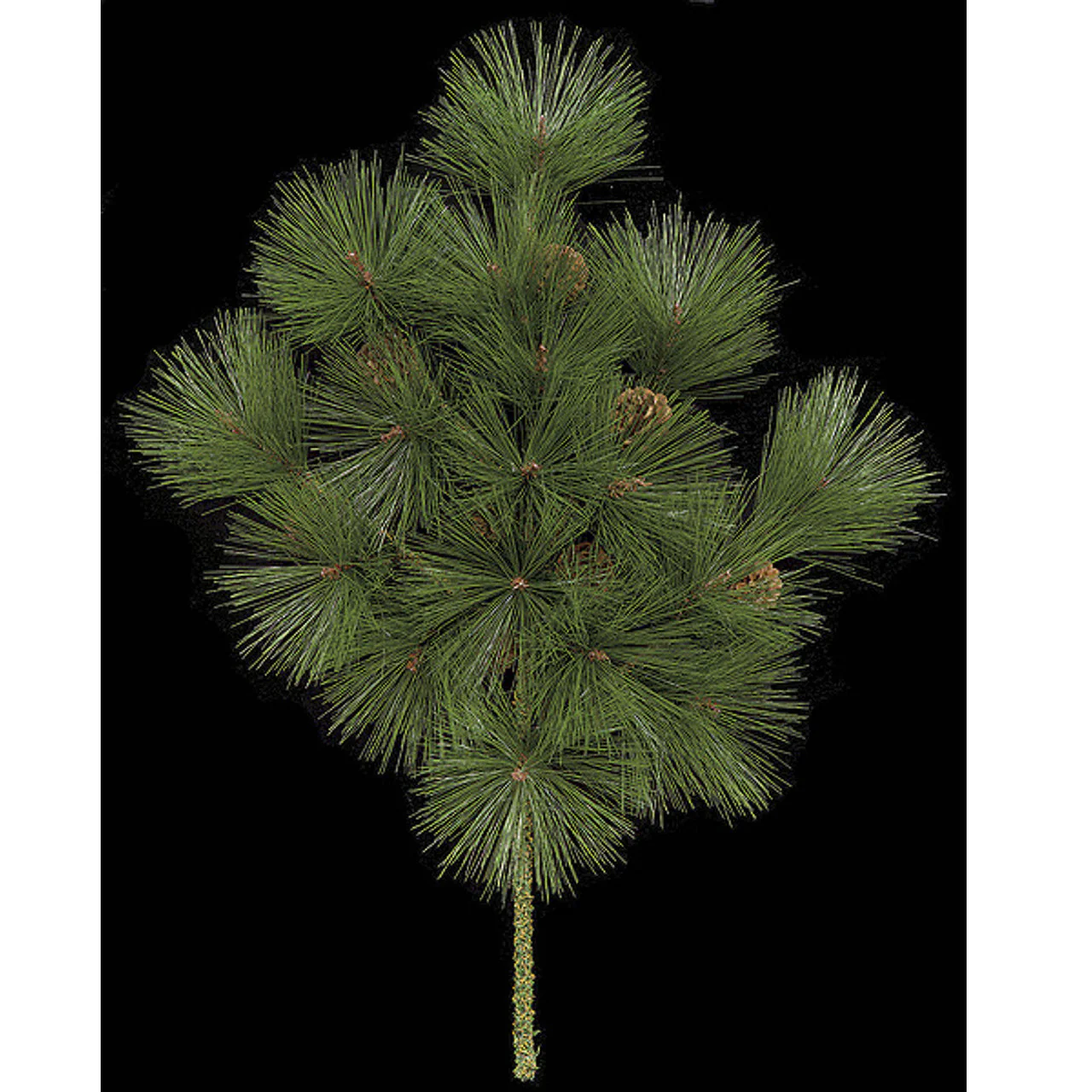 32" Artificial Long Needle Pine & Pinecone Stem -Green (Pack of 6) - Image 2