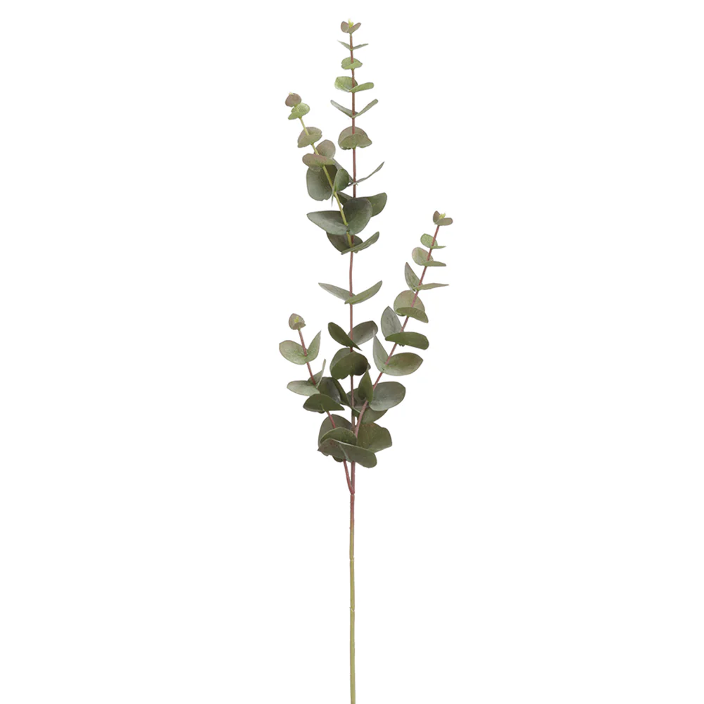 32" Eucalyptus Silk Stem -Green/Gray (Pack of 12)