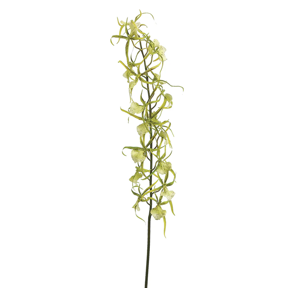 32" Hand-Wrapped Silk Brassia Orchid Flower Spray -2 Tone Green (Pack of 6)