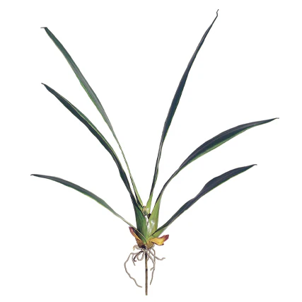 32" Hand-Wrapped Silk Oncidium Orchid Leaf Plant Stem -Green (Pack of 12)