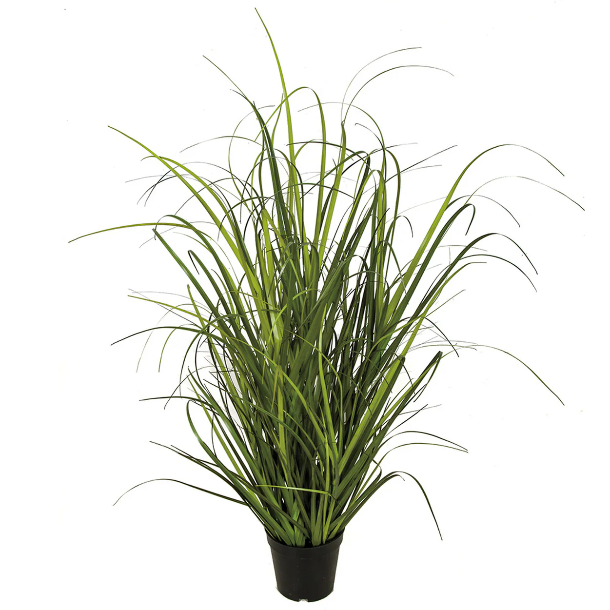 32" IFR PVC Onion Grass Artificial Plant w/Pot -2 Tone Green (Pack of 2)
