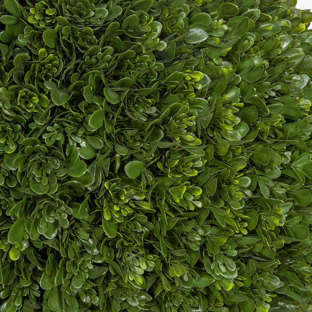 32" Outdoor UV-Resistant Artificial Japanese Boxwood Ball-Shaped Topiary w/Pot -Green - Image 2