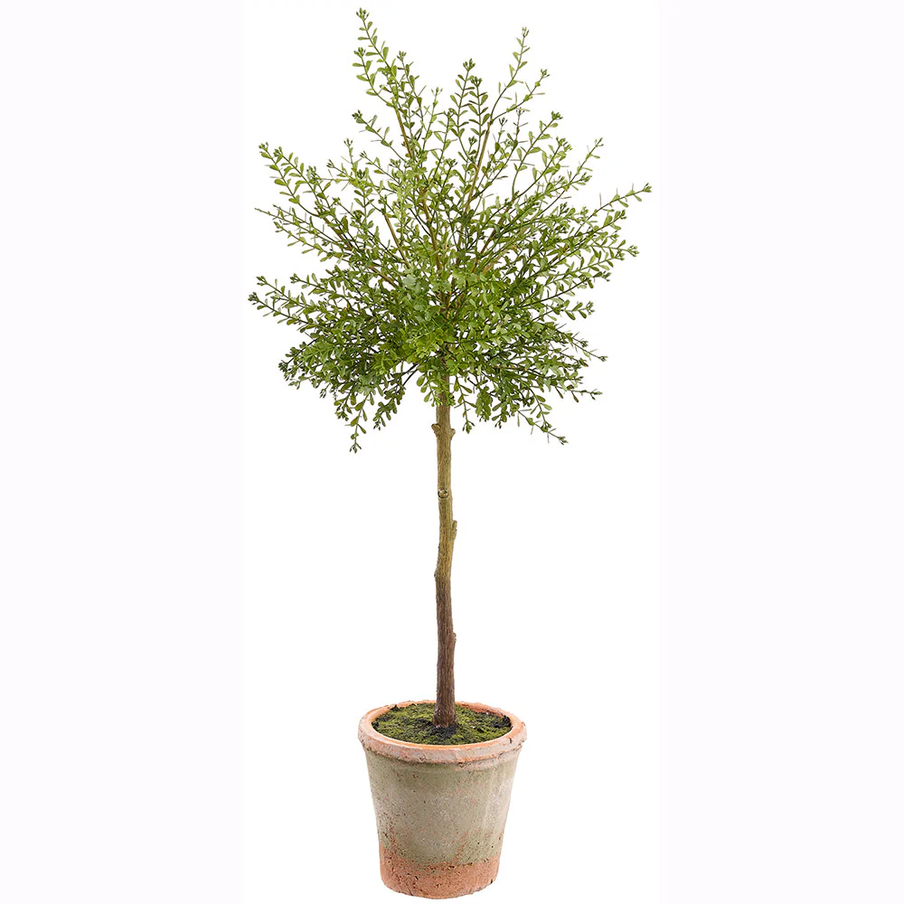 32" Outdoor UV-Resistant Artificial Myrtle Ball-Shaped Topiary w/Clay Pot -Green (Pack of 4)