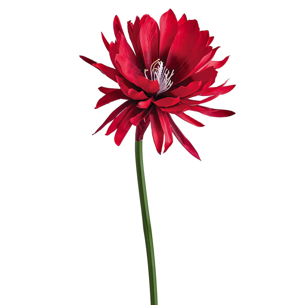 32" Queen Of The Night Silk Flower Stem -Red (Pack of 12)