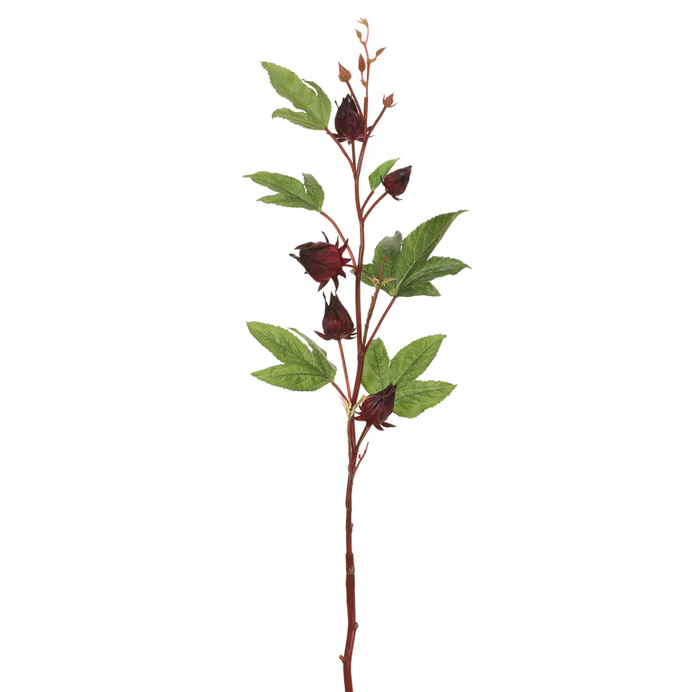 32" Roselle Silk Flower Stem -Burgundy (Pack of 12)