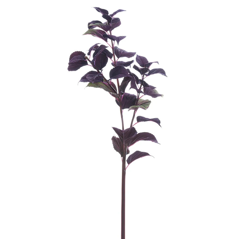 32" Silk Coleus Leaf Stem -Burgundy/Green (Pack of 6)
