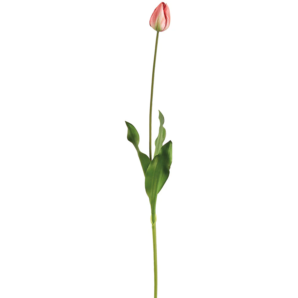 32" Tulip Silk Flower Stem -Coral/Green (Pack of 12)