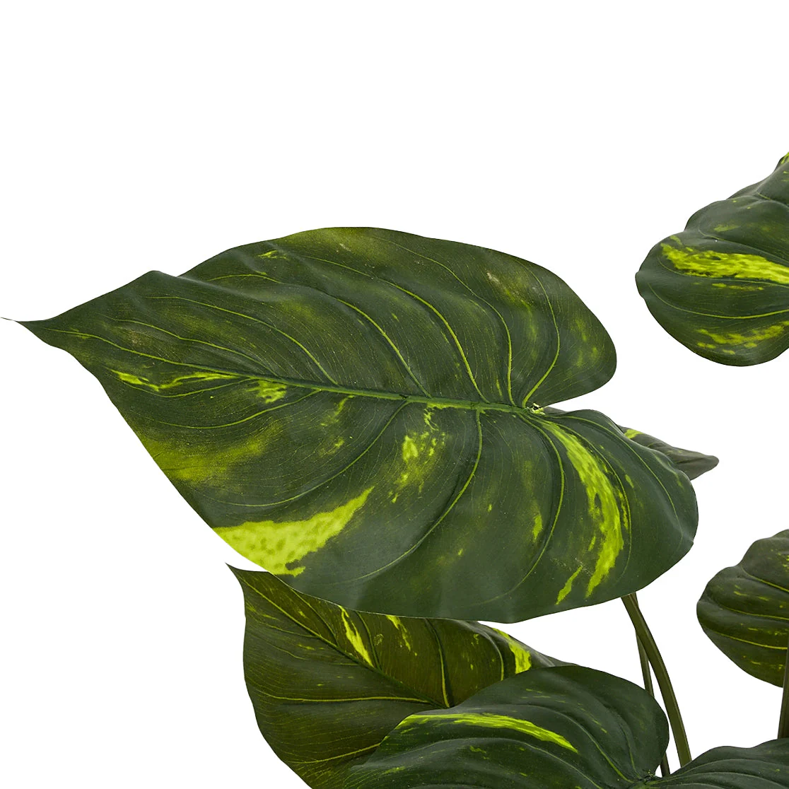 32" Variegated Pothos Leaf Silk Plant w/Pot -Green (Pack of 2) - Image 3