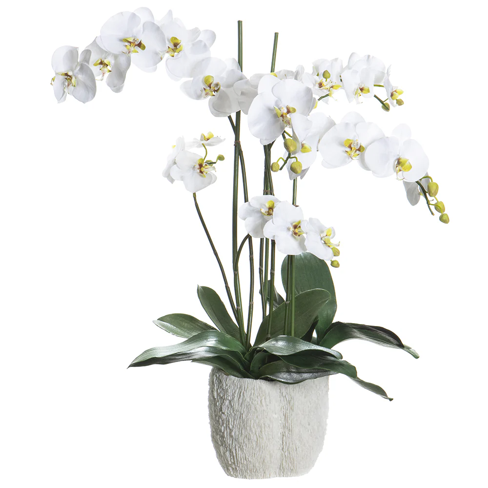 32"Hx25.5"W Phalaenopsis Orchid Silk Flower Arrangement w/Coral Vase -White/Green