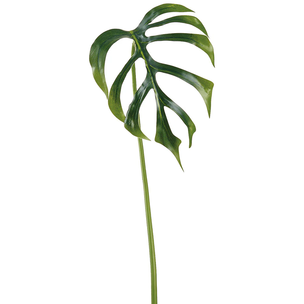 33.5" Monstera Dilacerata Split Philodendron Leaf Silk Stem -Green (Pack of 12)