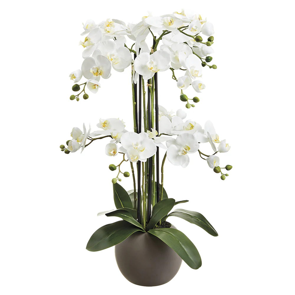 33.5" Silk Phalaenopsis Orchid Flower Arrangement w/Terra Cotta Pot -White