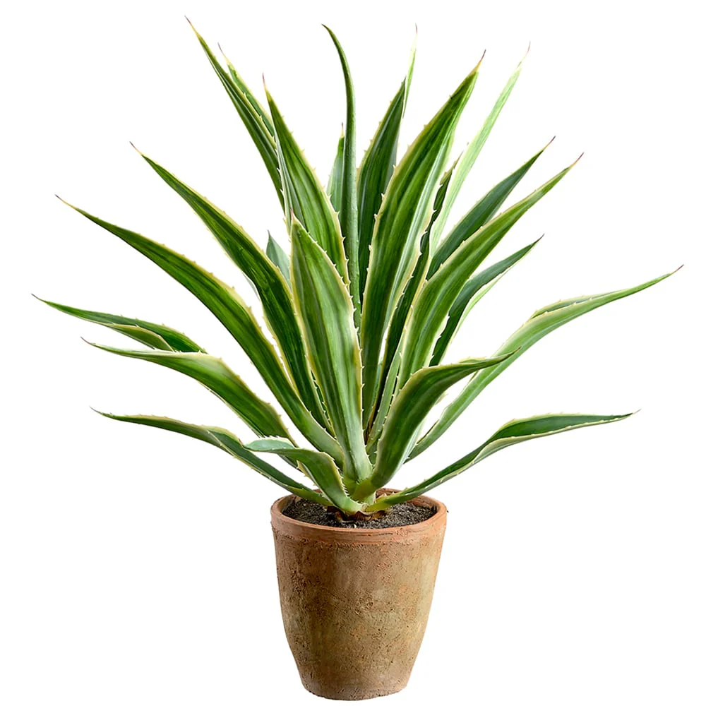 33" Artificial Agave Plant w/Clay Pot -Green