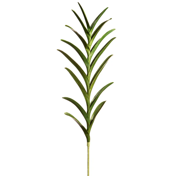 33" Hand-Wrapped Artificial Vanda Orchid Leaf Plant Stem -Green (Pack of 6) - Image 2