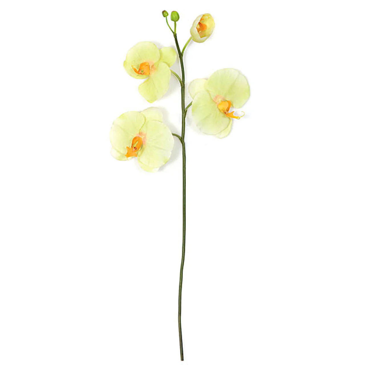 33" Phalaenopsis Orchid Silk Flower Stem -Green/Yellow (Pack of 6)
