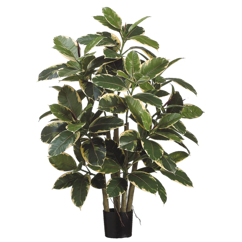 3'3" Rubber Leaf Silk Tree w/Pot -Variegated (Pack of 2)