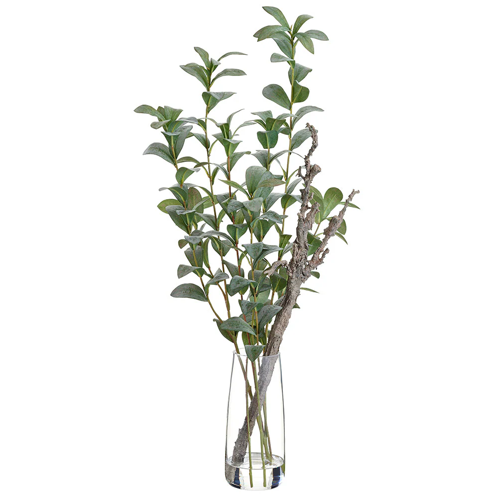 33" Ruscus Hypophyllum & Twig Silk Arrangement w/Glass Vase -Green/Gray