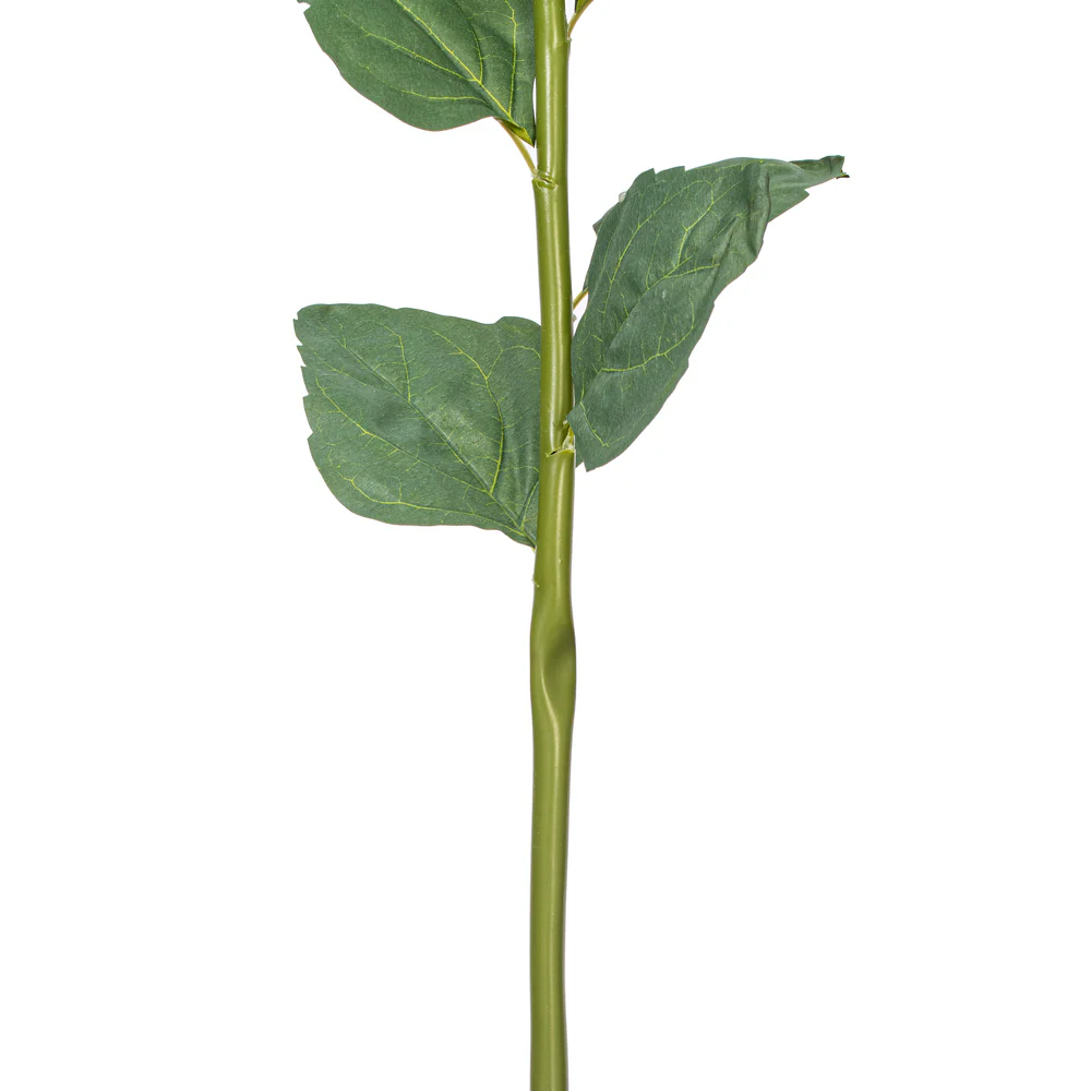 33" Silk Cone Hydrangea Flower Stem -White (Pack of 6) - Image 3