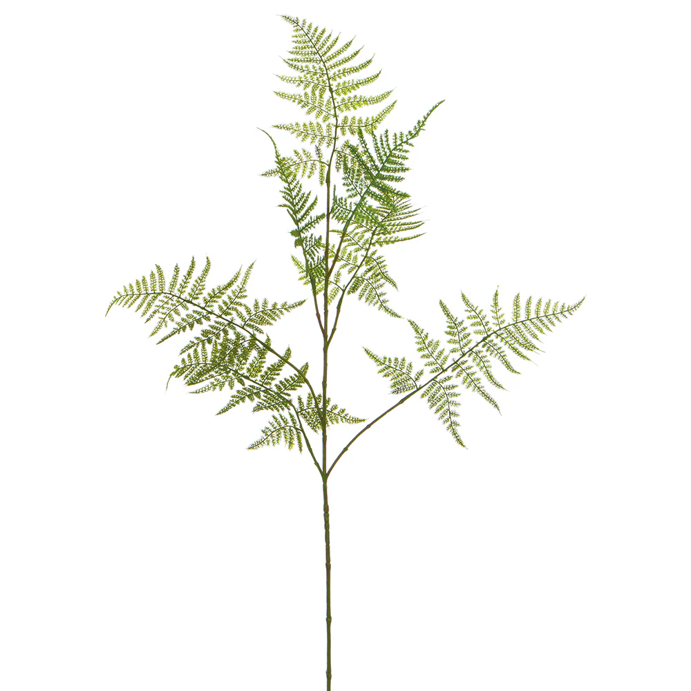 34" Artificial Asparagus Fern Leaf Stem -2 Tone Green (Pack of 12)