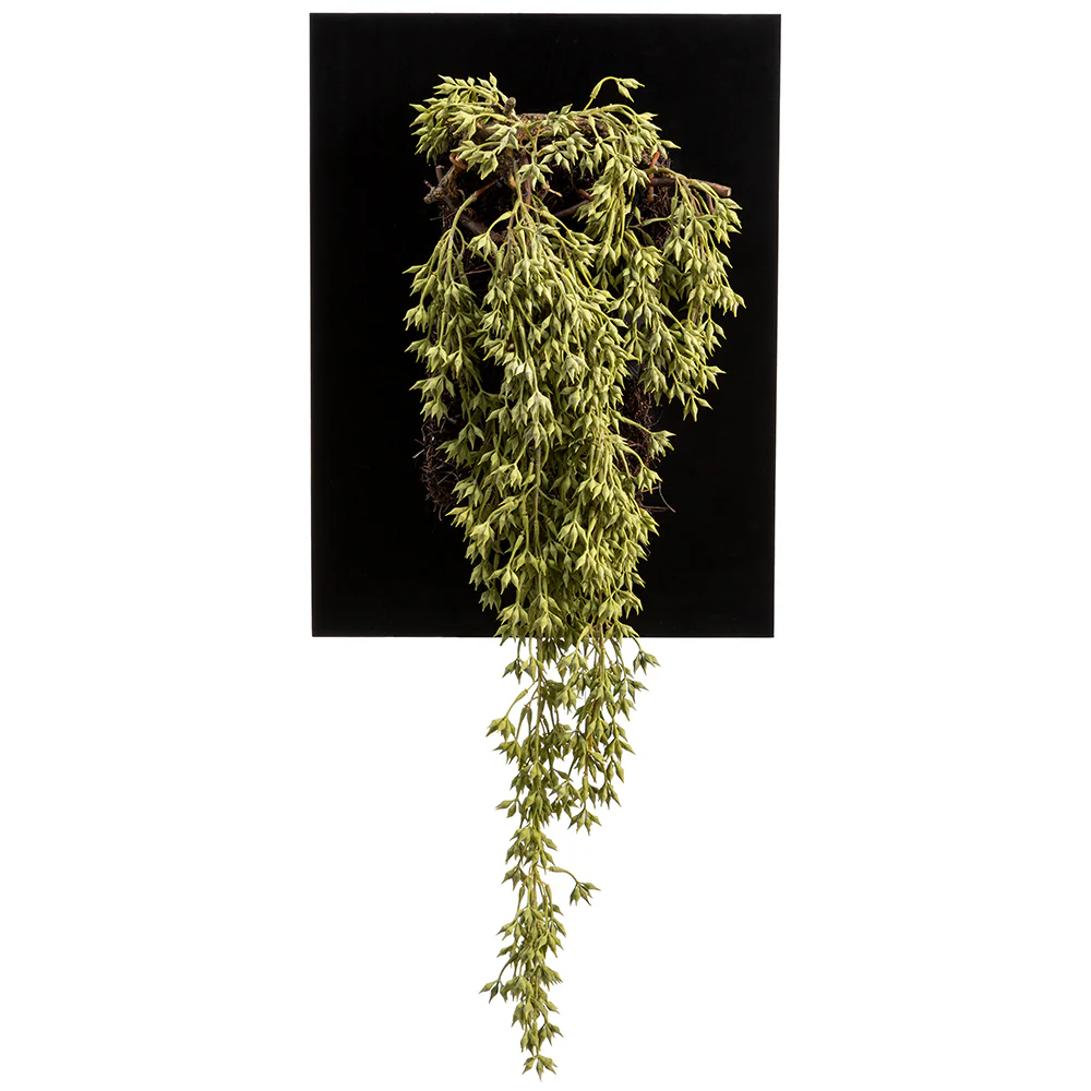 34" Artificial Hanging Sedum Plant w/Wall Piece -2 Tone Green
