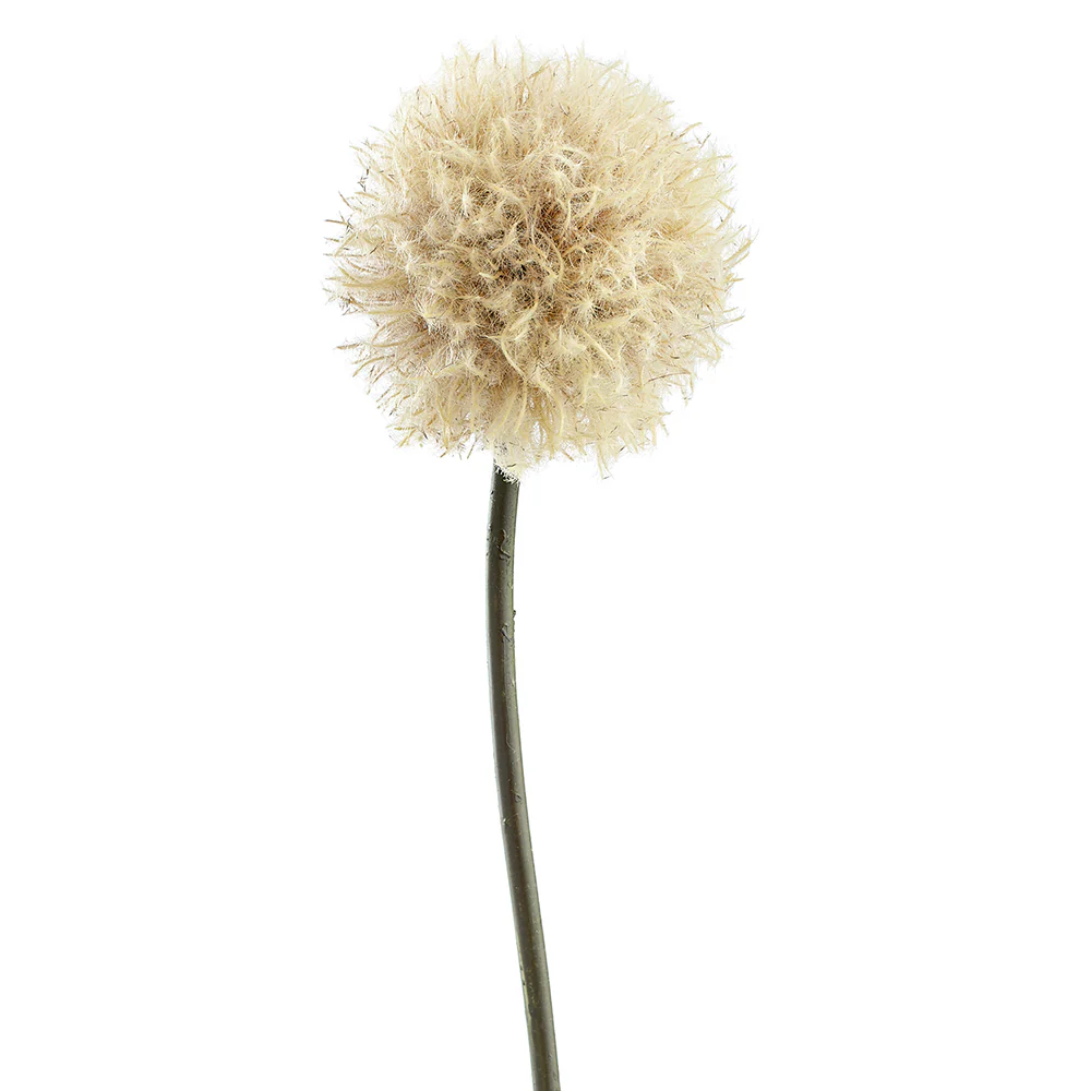 34" Dandelion Artificial Flower Stem -Beige (Pack of 12)