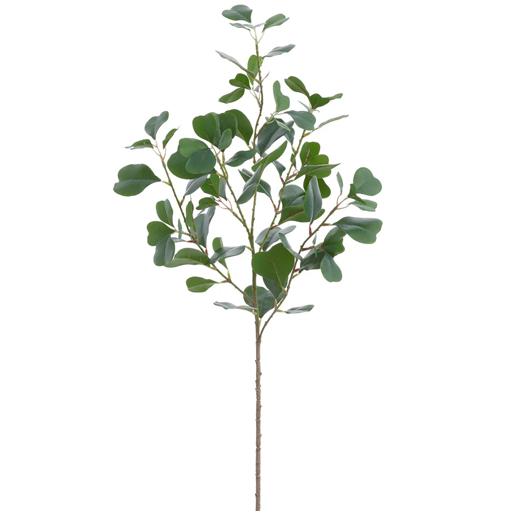34" Ficus Triangularis Leaf Silk Stem -Green (Pack of 12)