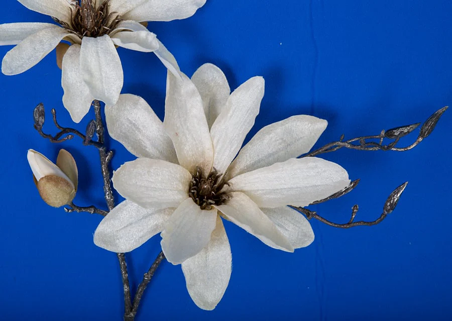 34" Giant Magnolia Silk Flower Stem -Cream/Brown (Pack of 6) - Image 2