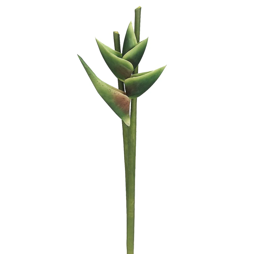 34" Hand-Wrapped Hawaiian Heliconia Silk Flower Stem -Green (Pack of 6)