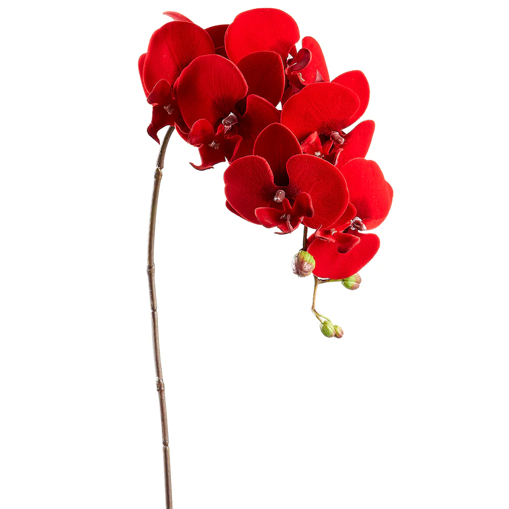 34" Velvet Artificial Phalaenopsis Orchid Flower Stem -Red (Pack of 12)