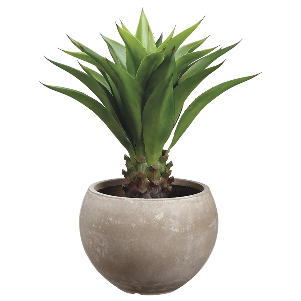34"Hx21"W Agave Attenuata Artificial Plant w/Fiber Clay Planter -Green