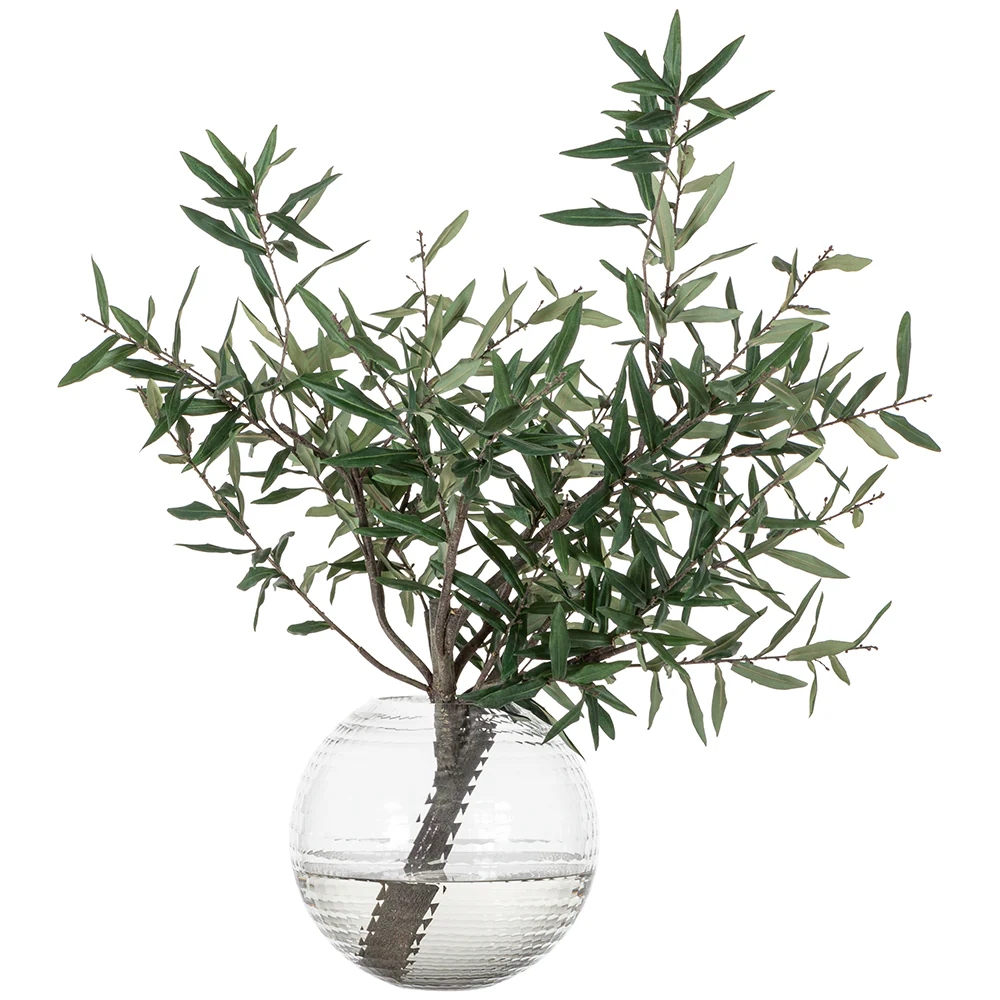 34"Hx37"W Olive Tree Branch Silk Arrangement w/Glass Vase -Green