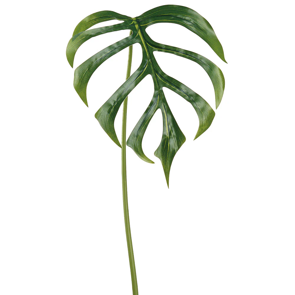 35.5" Monstera Dilacerata Split Philodendron Leaf Silk Stem -Green (Pack of 12)