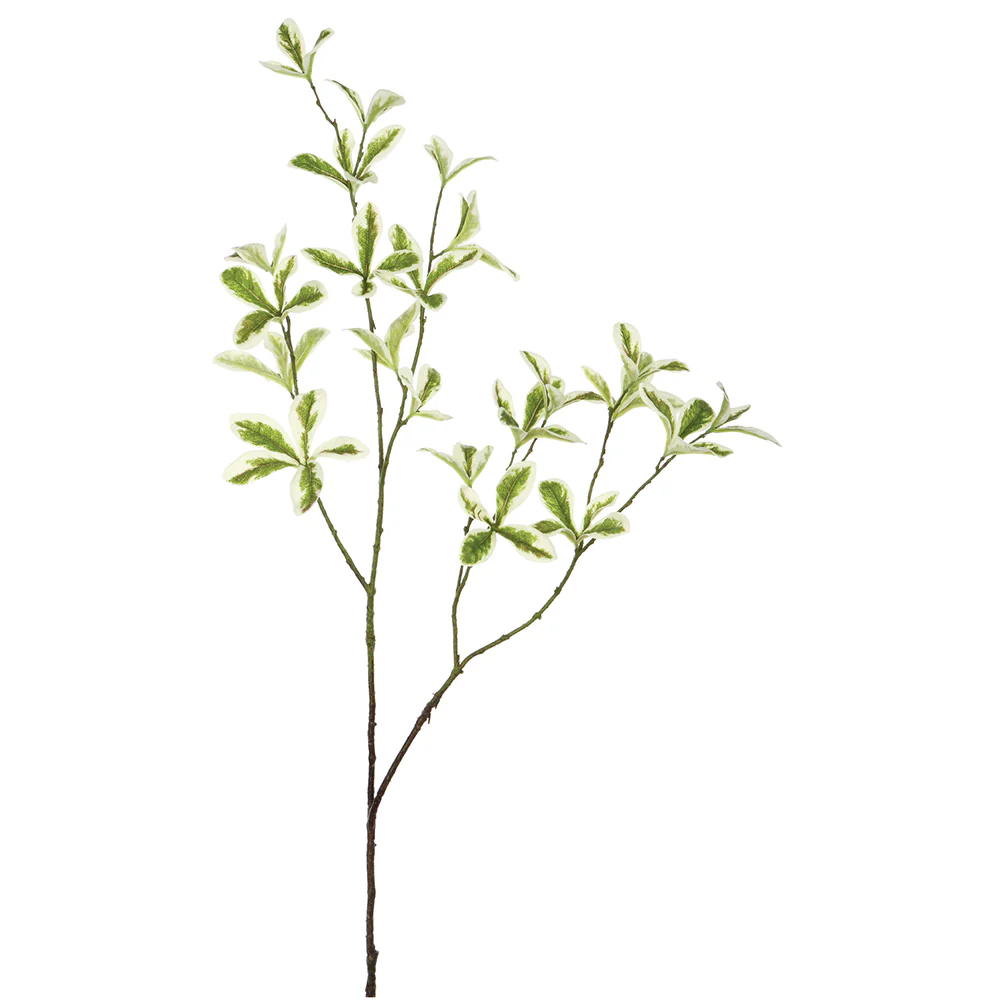 35.5" Silk Terminalia Mantaly Leaf Stem -Green/Variegated (Pack of 12)