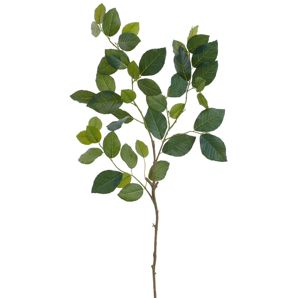 35" Beech Leaf Silk Stem -Green (Pack of 12)
