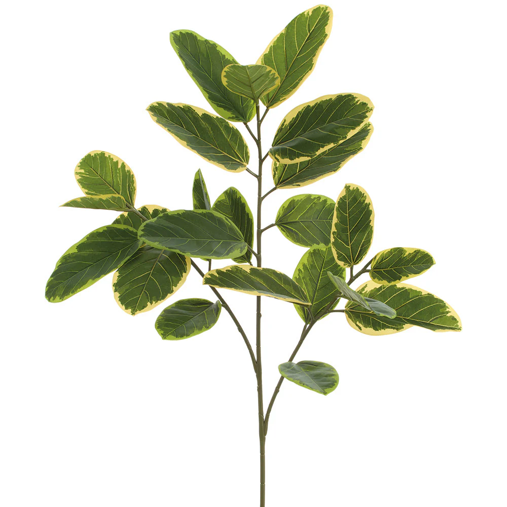 35" Outdoor UV-Resistant Artificial Ficus Leaf Stem -Variegated (Pack of 6)