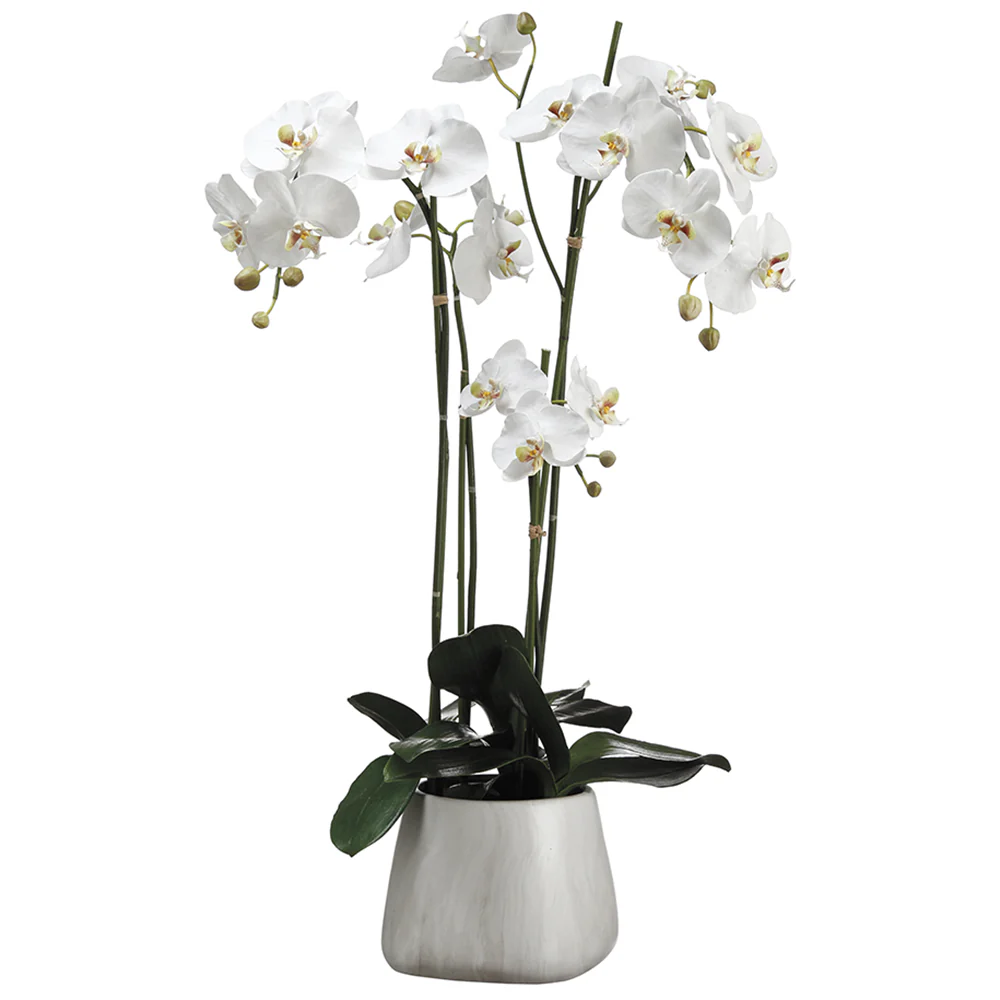 35" Phalaenopsis Orchid Silk Flower Arrangement -White