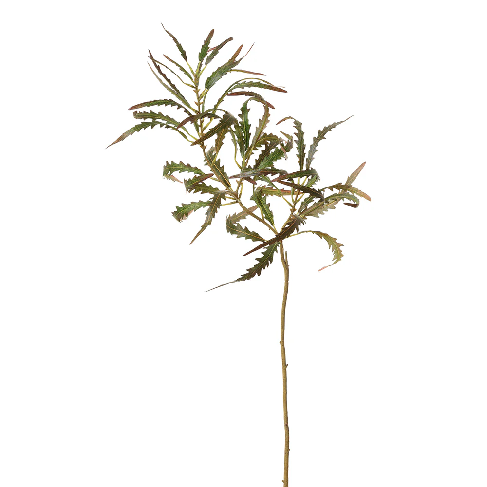 35" Silk False Aralia Leaf Stem -Green (Pack of 12)