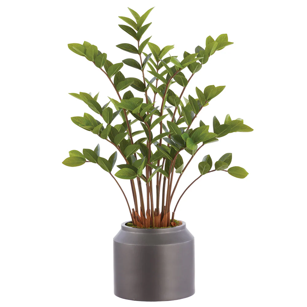 35" Zanzibar Gem Zamioculcas Succulent Artificial Plant w/Polyresin Pot -Green