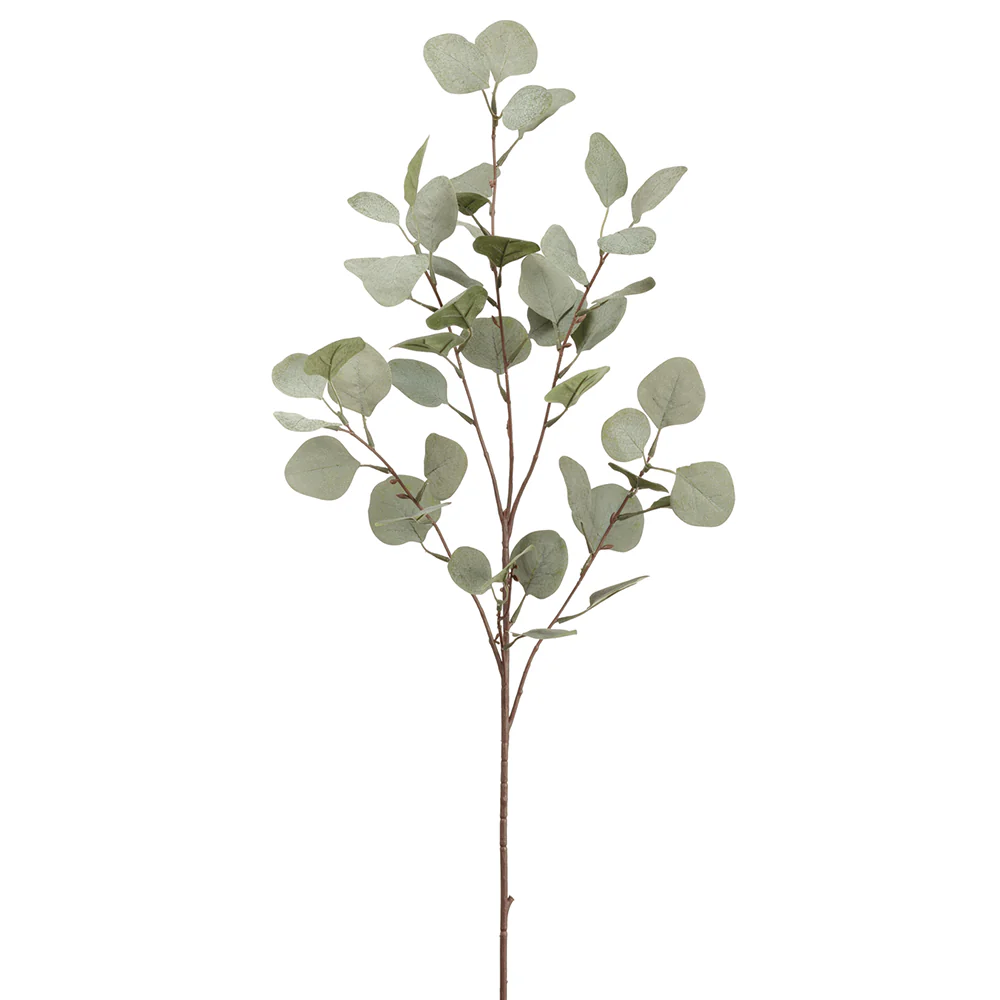 36.5" Eucalyptus Silk Stem -Green (Pack of 12)