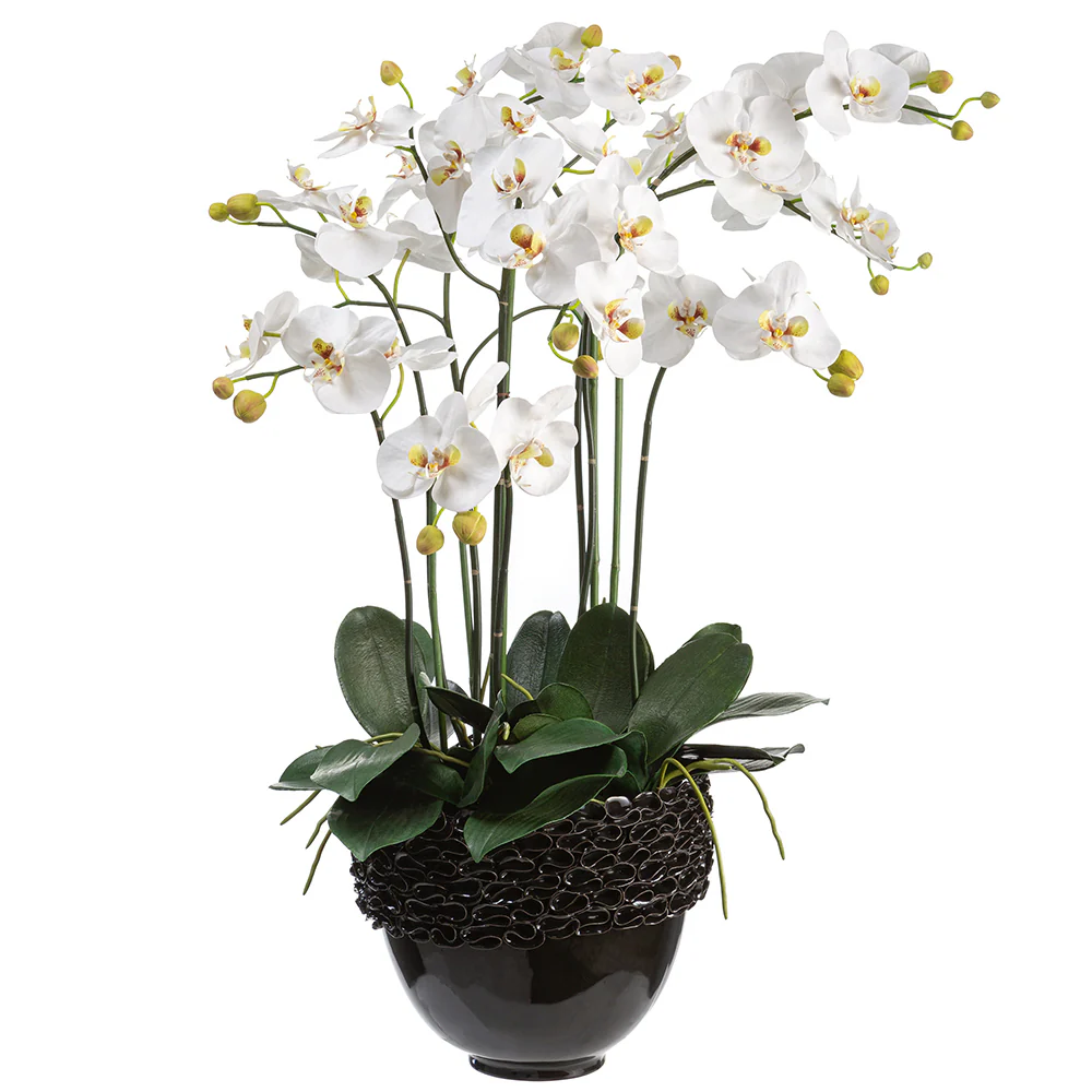 36.5"Hx29"W Phalaenopsis Orchid Silk Flower Arrangement w/Ceramic Bowl -White/Green