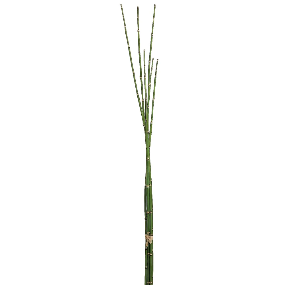 36" Artificial Horsetail Bamboo Stem Bundle -Green (Pack of 8)