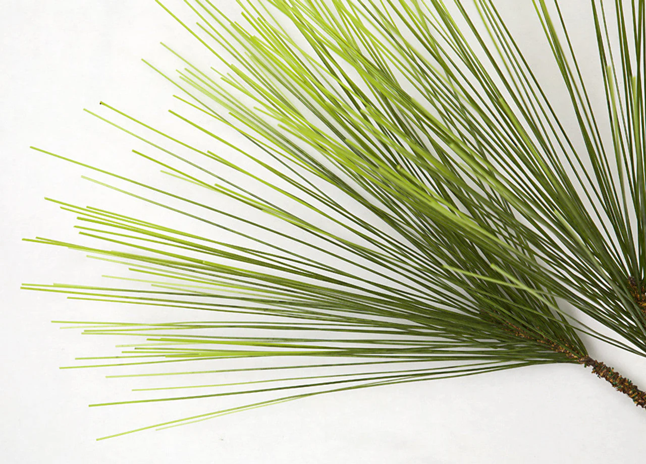 36" Artificial Long Needle Pine Stem -Green (Pack of 12) - Image 2
