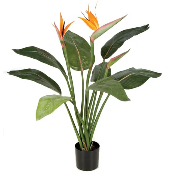 36" Bird Of Paradise Silk Plant w/Pot -Orange/Green