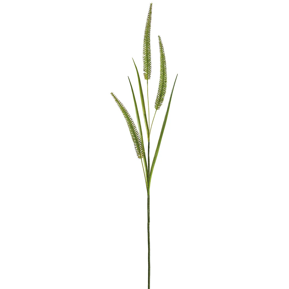 36" Blooming Rattail Grass Leaf Artificial Stem -Green (Pack of 12)