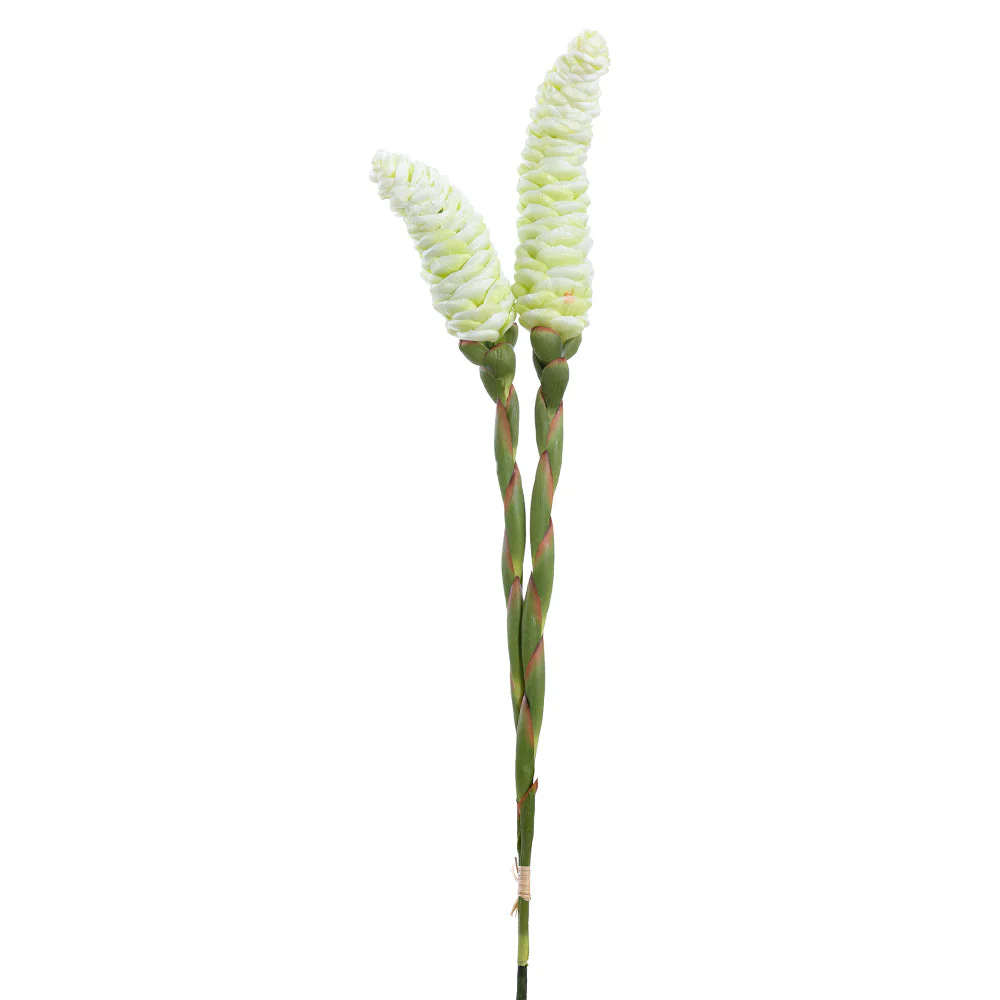36" Ginger Silk Flower Stem Bundle -Cream/Green (Pack of 12)
