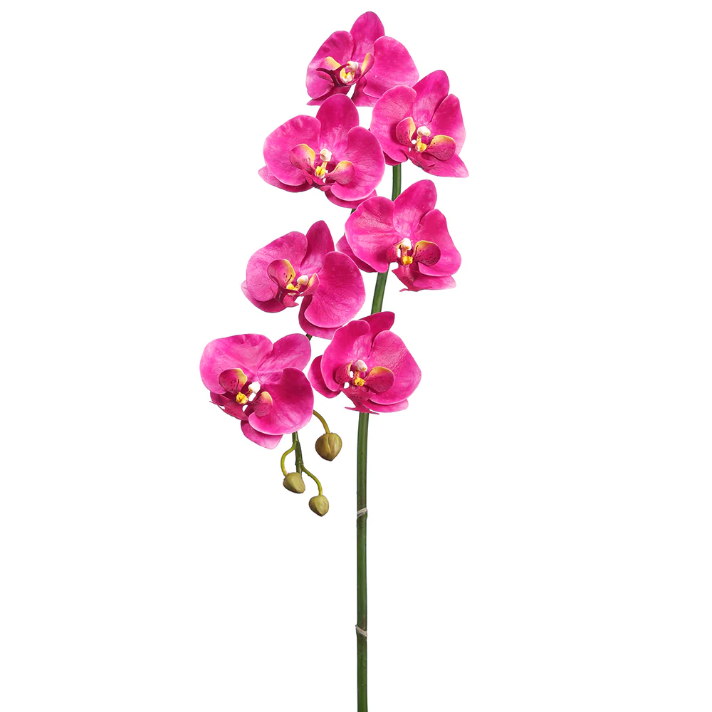 36" Hand-Wrapped Artificial Phalaenopsis Orchid Flower Stem -2 Tone Orchid (Pack of 6)
