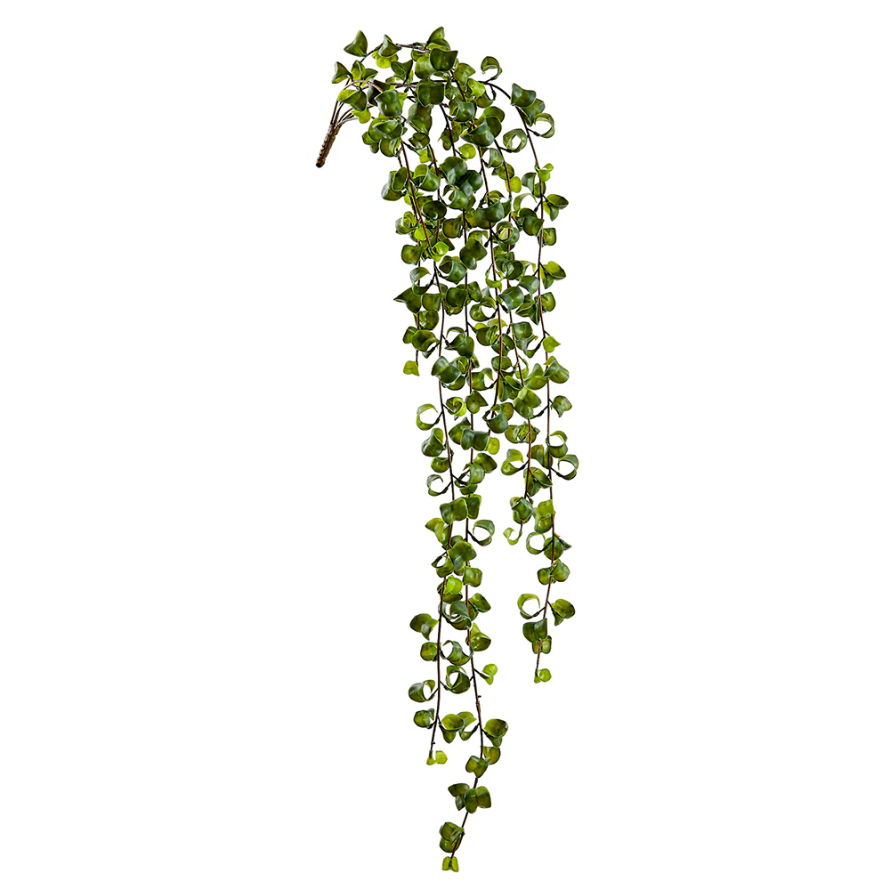 36" Hanging Silk Curly Leaf Vine Stem -Green (Pack of 12)