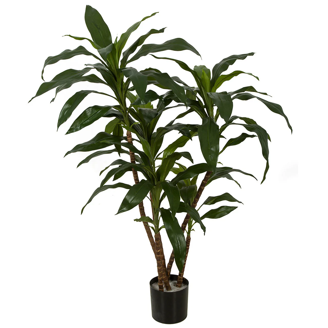 36" IFR Artificial Dracaena Plant w/Pot -Green