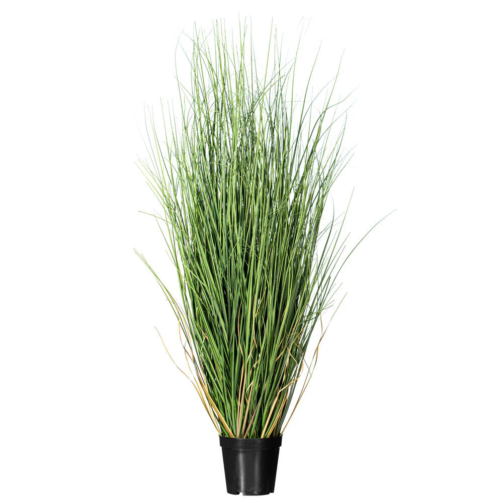 36" IFR PVC Curled Grass Artificial Plant w/Pot -Green