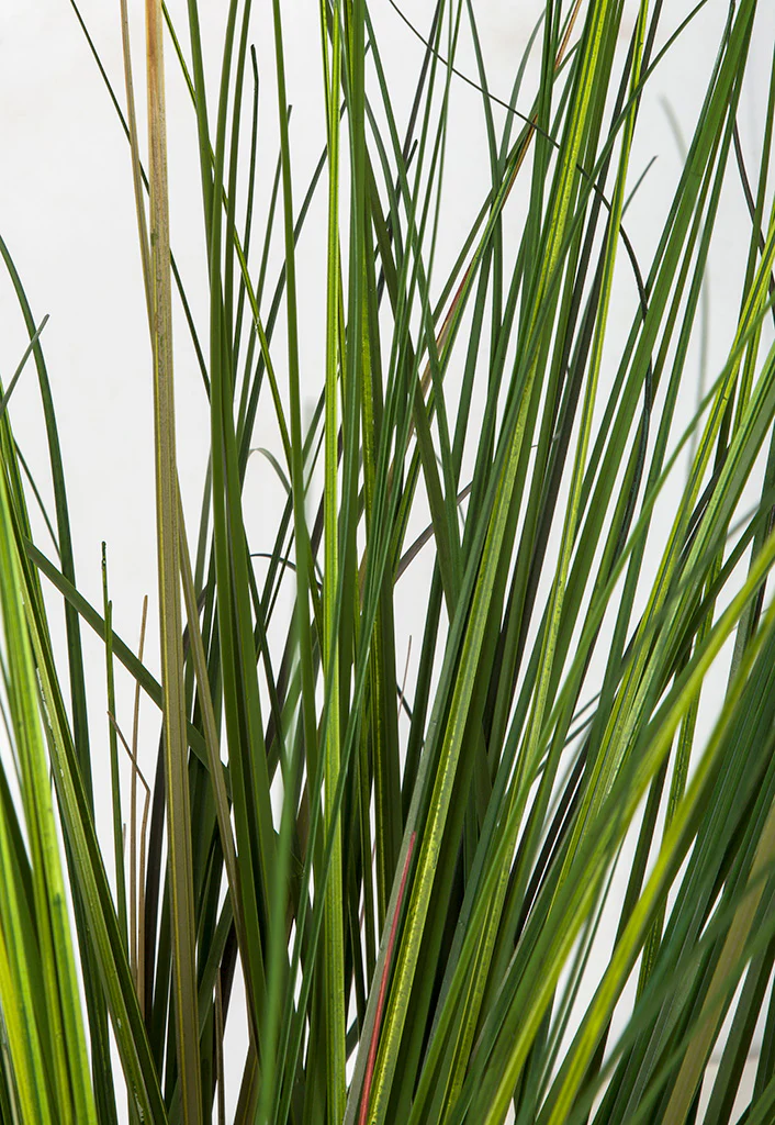 36" IFR PVC Onion Grass Artificial Plant w/Pot -2 Tone Green - Image 2