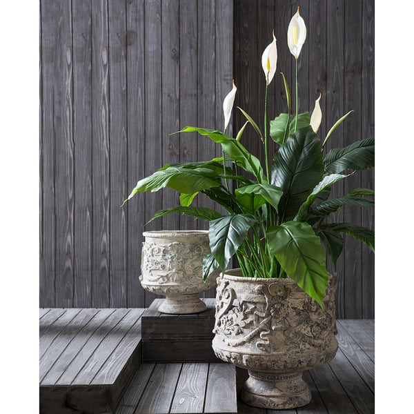 3'6" Peace Lily Spathiphyllum Silk Plant w/Pot -Green/White (Pack of 4) - Image 2